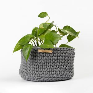 Cesta Anna