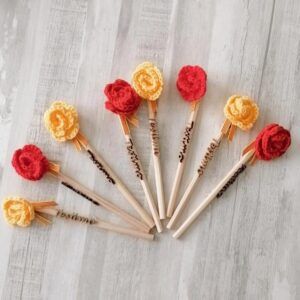 Lápiz Sant Jordi